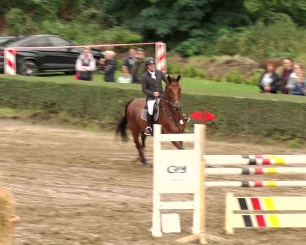 Reitturnier Jühnsdorf 2020