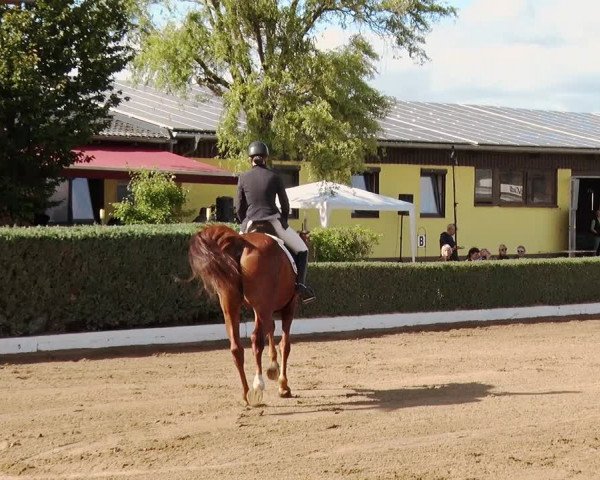 Reitturnier Jühnsdorf 2020
