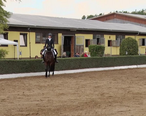 Reitturnier Jühnsdorf 2020