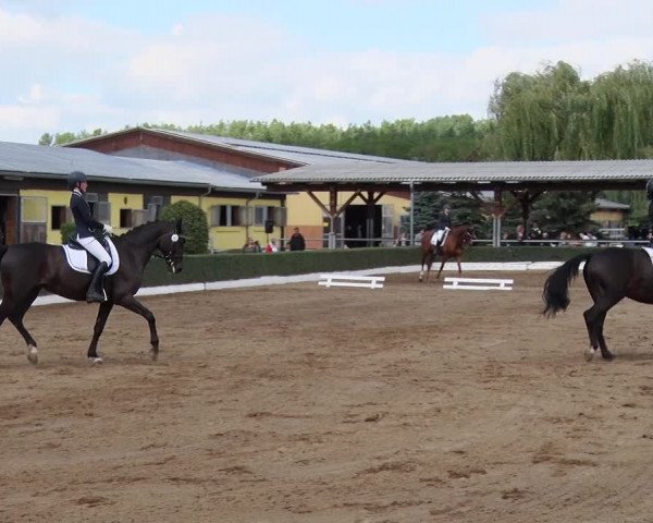 Reitturnier Jühnsdorf 2020