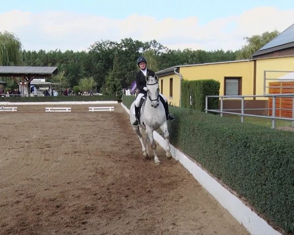 Reitturnier Jühnsdorf 2020