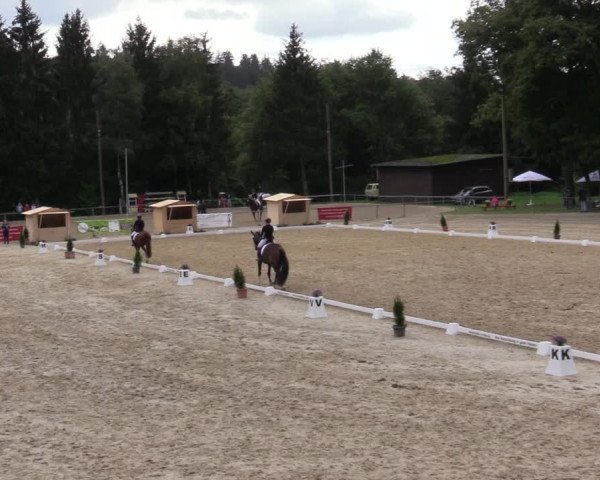 Reitturnier Neunkirchen-Salchendorf 2020
