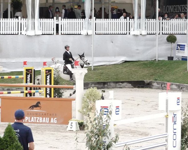 Reitturnier Humlikon 2020
