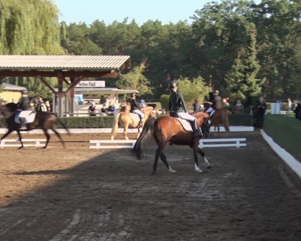 Reitturnier Jühnsdorf 2020
