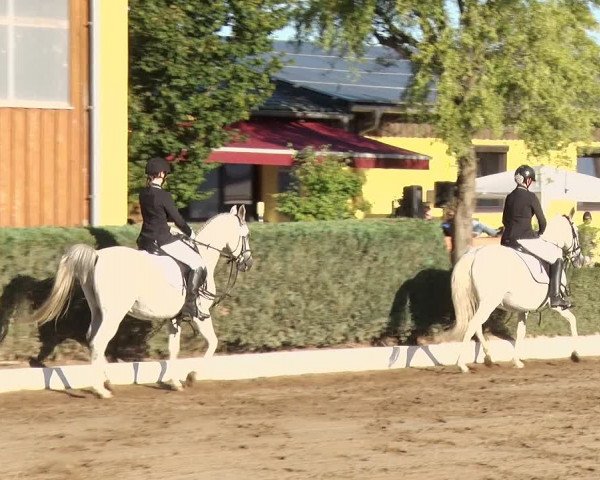 Reitturnier Jühnsdorf 2020
