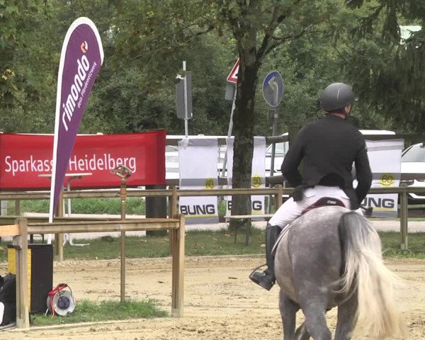 Reitturnier Walldorf/Winterheck 2020