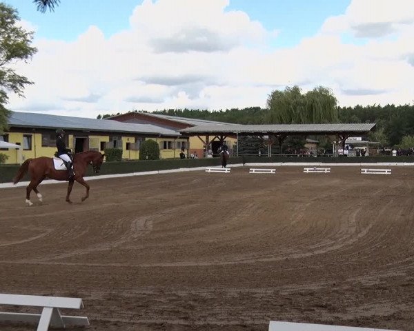 Reitturnier Jühnsdorf 2020