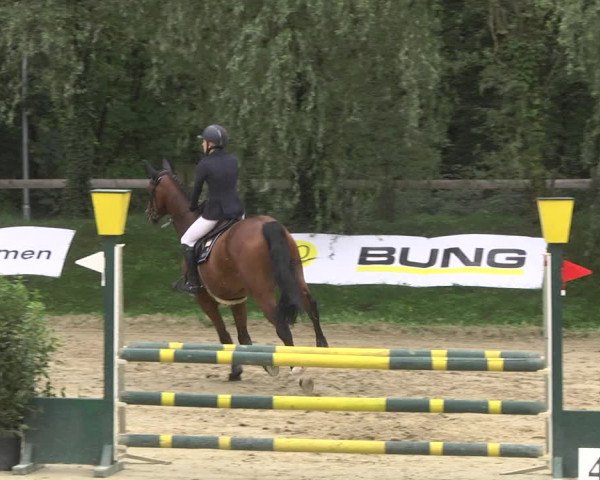 Reitturnier Walldorf/Winterheck 2020