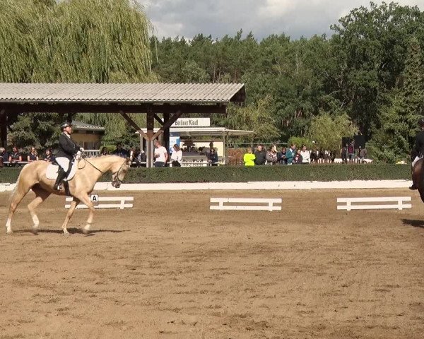 Reitturnier Jühnsdorf 2020