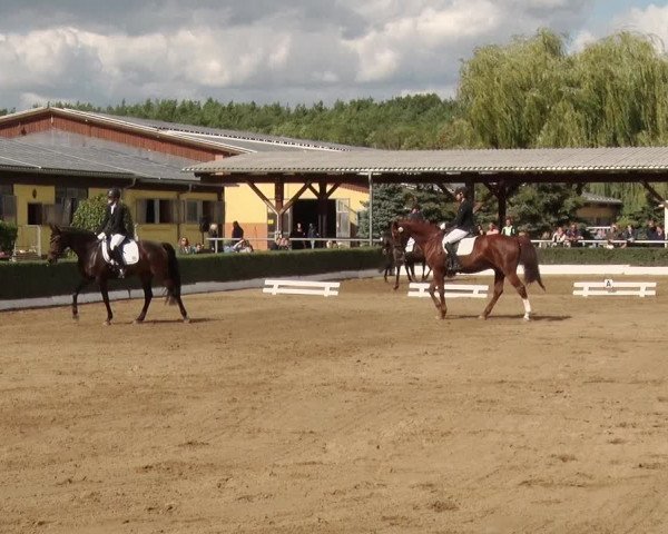 Reitturnier Jühnsdorf 2020