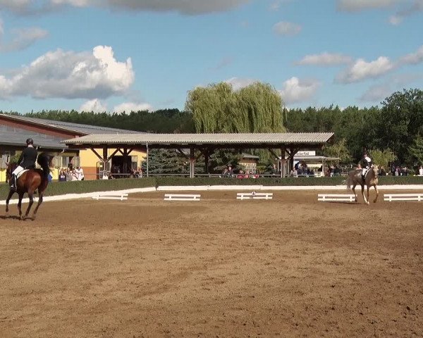 Reitturnier Jühnsdorf 2020