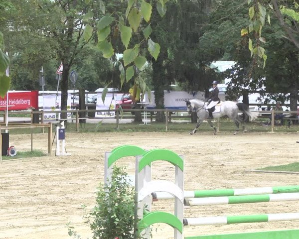 Reitturnier Walldorf/Winterheck 2020