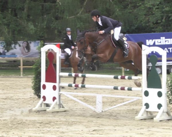Reitturnier Walldorf/Winterheck 2020