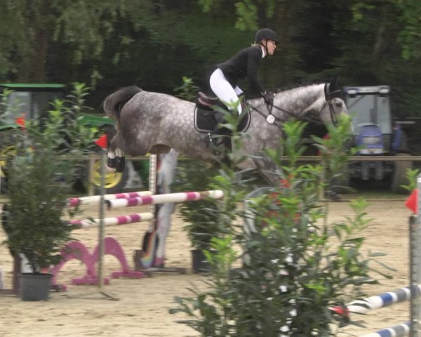 Reitturnier Walldorf/Winterheck 2020