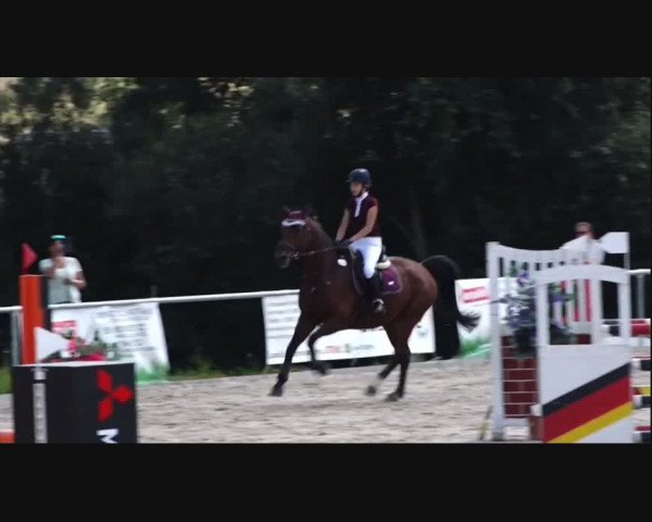 Reitturnier Ansbach/Mfr. 2021