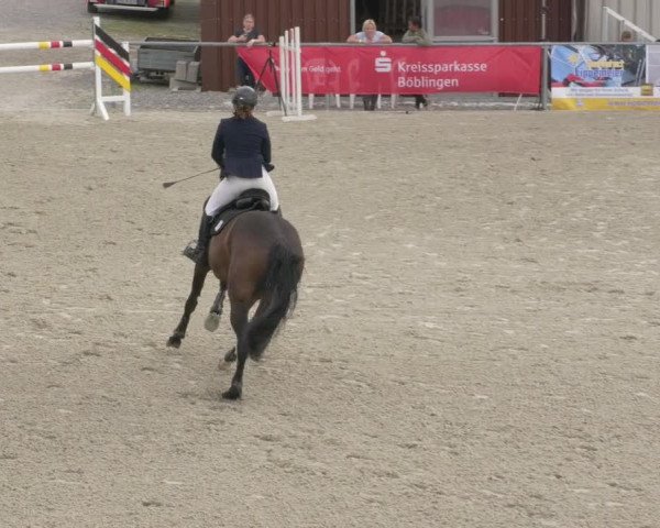 Reitturnier Ehningen 2020