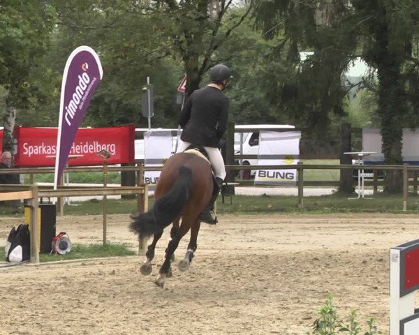 Reitturnier Walldorf/Winterheck 2020