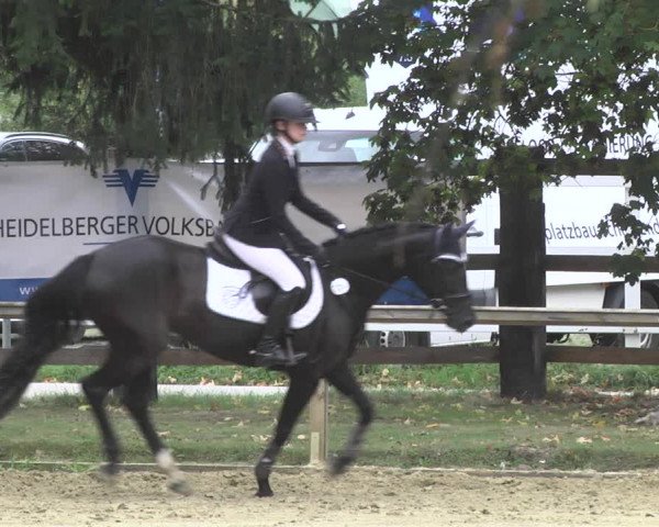 Reitturnier Walldorf/Winterheck 2020