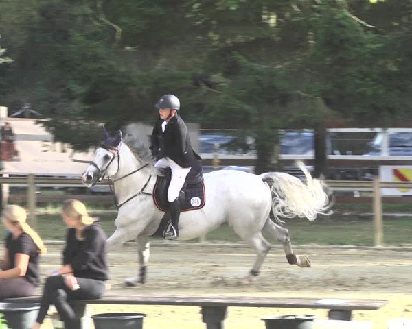 Reitturnier Walldorf/Winterheck 2020