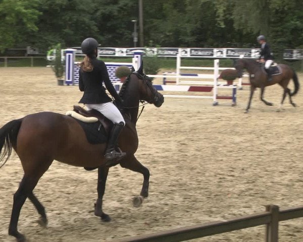 Reitturnier Walldorf/Winterheck 2020