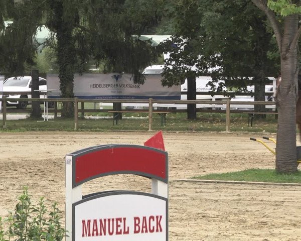 Reitturnier Walldorf/Winterheck 2020