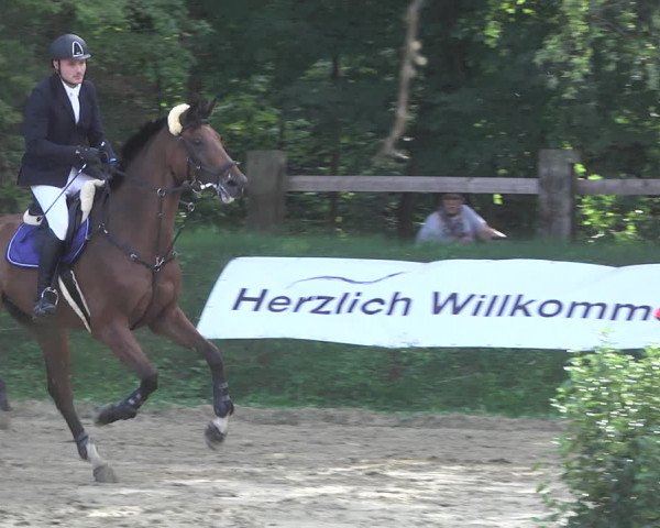Reitturnier Walldorf/Winterheck 2020