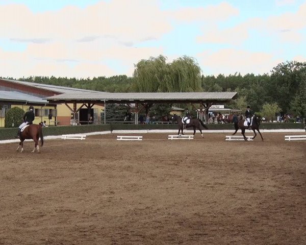 Reitturnier Jühnsdorf 2020