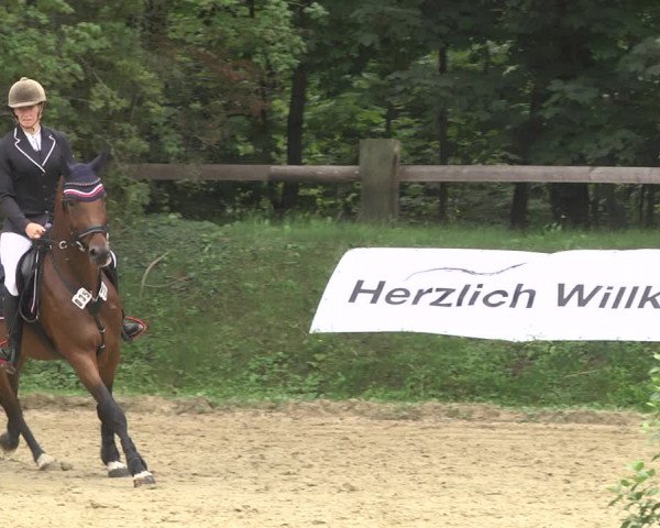 Reitturnier Walldorf/Winterheck 2020