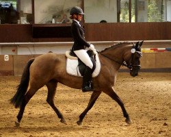 dressage horse Kessy 195 (German Riding Pony, 2002)