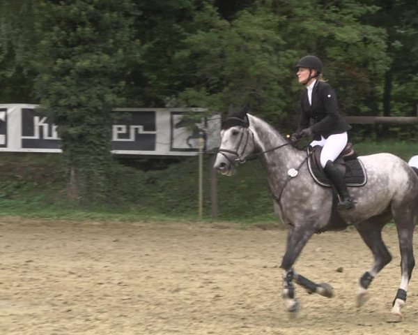 Reitturnier Walldorf/Winterheck 2020