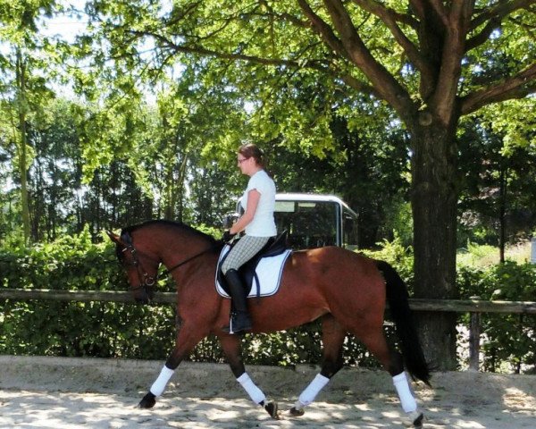 broodmare Frieda (Rhinelander, 2010, from Floribot)
