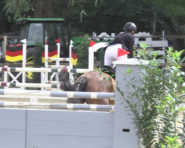 Reitturnier Walldorf/Winterheck 2020