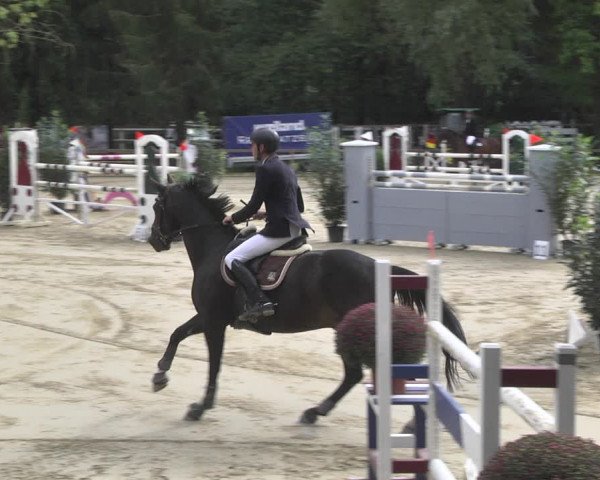 Reitturnier Walldorf/Winterheck 2020