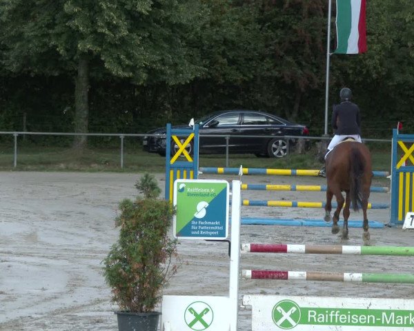 Reitturnier Appelhülsen 2020