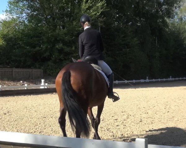 Reitturnier Mettmann - Reitanlage Löckenhoff 2020
