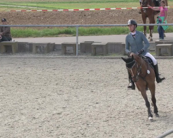 Reitturnier Ehningen 2020