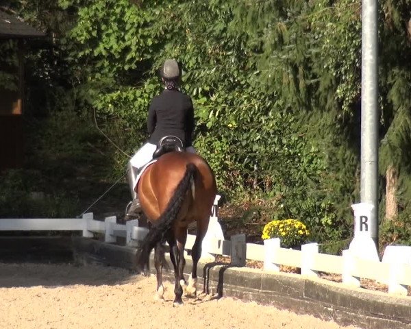 Reitturnier Mettmann - Reitanlage Löckenhoff 2020