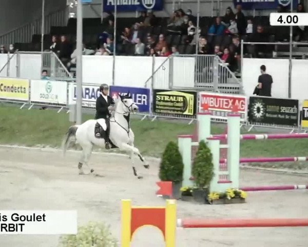 Reitturnier Humlikon 2020