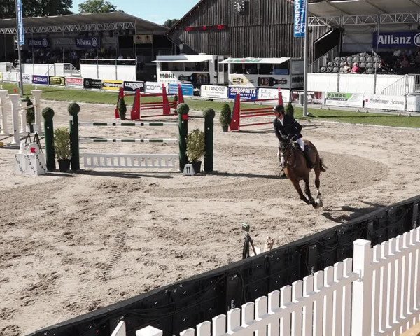 Reitturnier Humlikon 2020