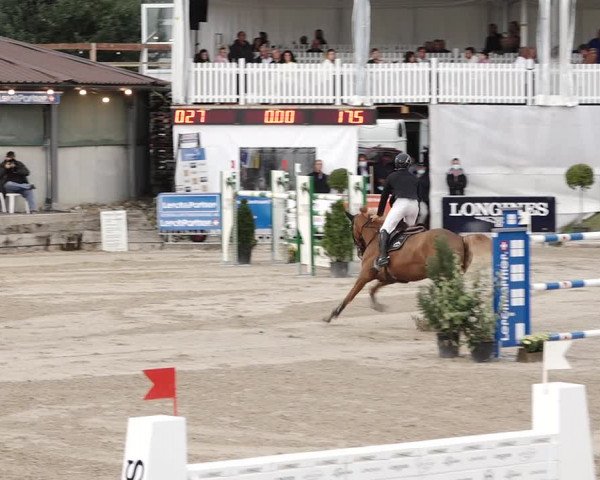Reitturnier Humlikon 2020