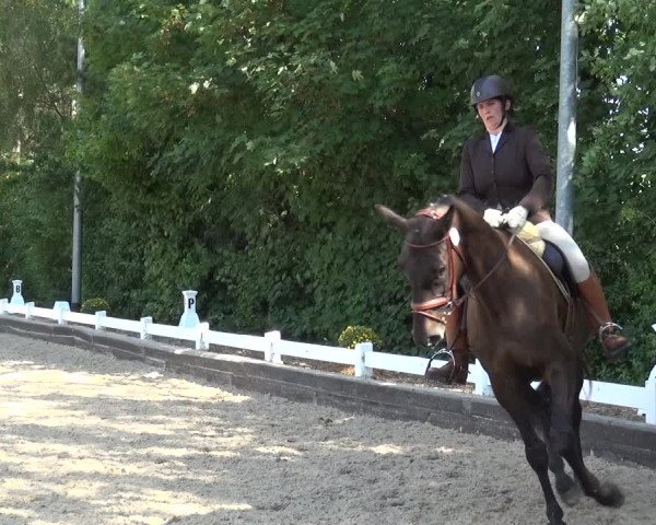Reitturnier Mettmann - Reitanlage Löckenhoff 2020
