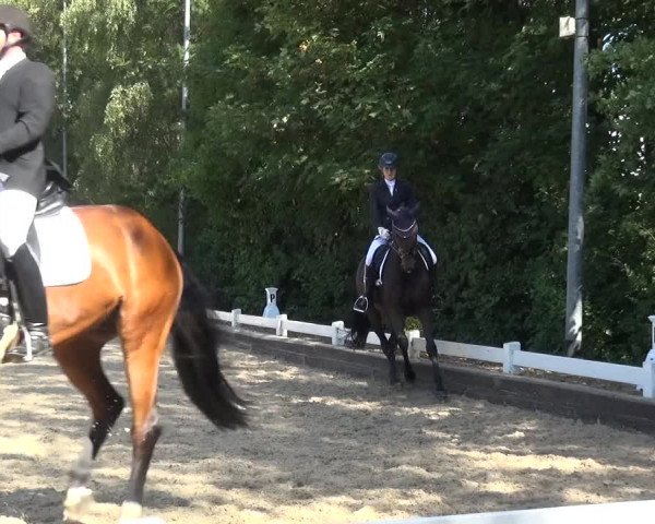 Reitturnier Mettmann - Reitanlage Löckenhoff 2020
