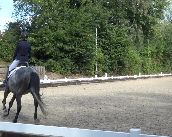 Reitturnier Mettmann - Reitanlage Löckenhoff 2020