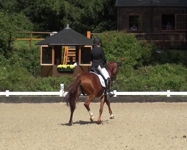 Reitturnier Mettmann - Reitanlage Löckenhoff 2020