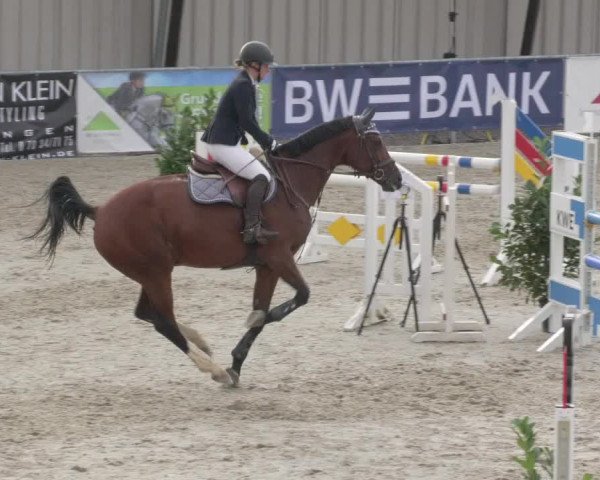Reitturnier Ehningen 2020