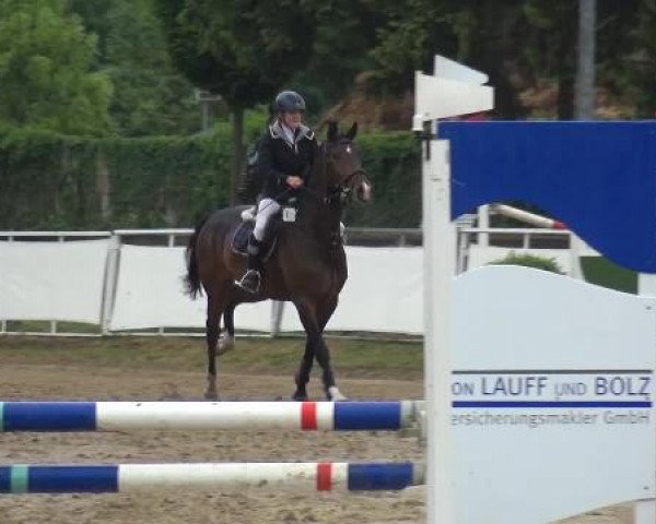 jumper Lucia GR (Rhinelander, 2007, from Lorgos GL)
