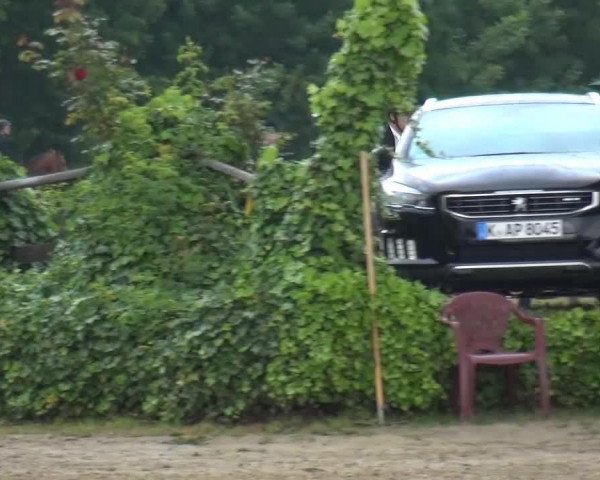 jumper Don Johnson 8 (unknown,  , from Dakota II)