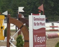 Springpferd Mirandus 5 (Polnisches Warmblut, 2000, von Mirandus)
