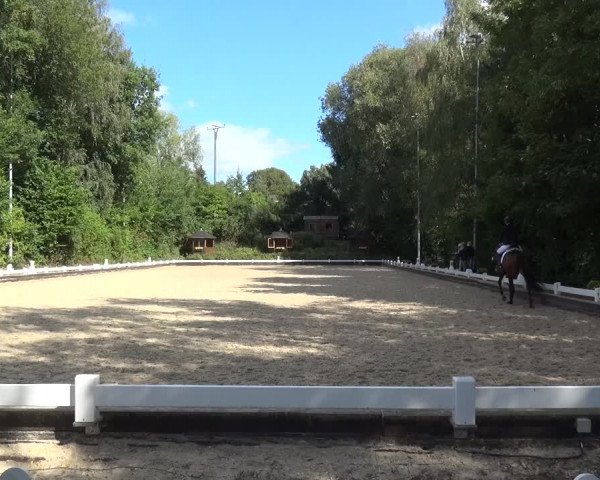 Reitturnier Mettmann - Reitanlage Löckenhoff 2020