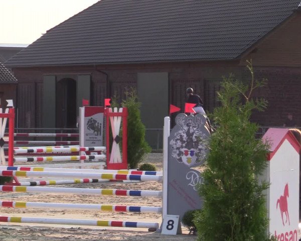 Reitturnier Dortmund-Barop 2020